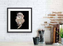 Load image into Gallery viewer, Botanicals: Winter Troupe - Jana Nicole