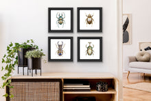 Load image into Gallery viewer, Wonders of the Natural World Box Set - Magnus Gjoen