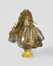 Load image into Gallery viewer, Roi Soleil Gold Magnus Gjoen