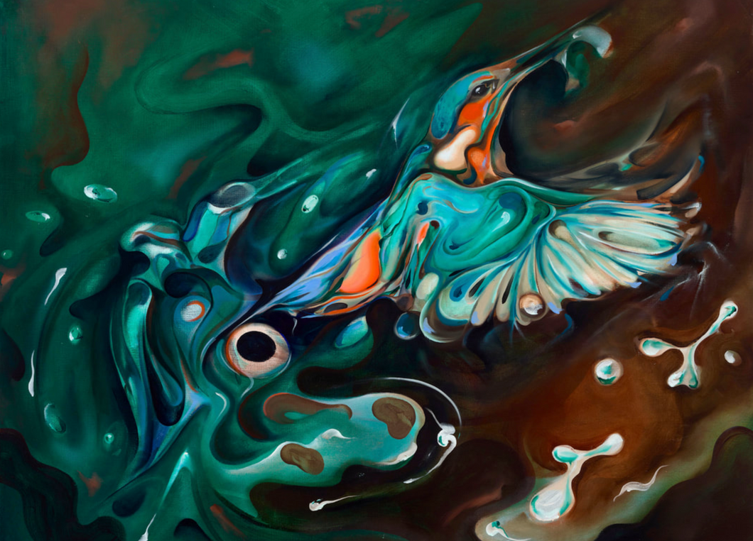 Kingfisher - Kevin Gavaghan