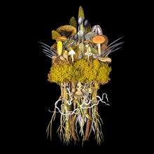 Load image into Gallery viewer, Botanicals: Sunrise Troupe - Jana Nicole