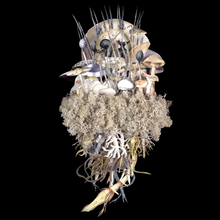 Load image into Gallery viewer, Botanicals: Winter Troupe - Jana Nicole