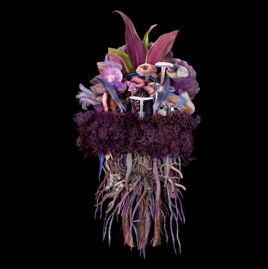 Botanicals: Twilight Troupe - Jana Nicole