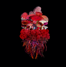 Load image into Gallery viewer, Botanicals: Blaze Troupe - Jana Nicole