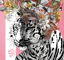 Load image into Gallery viewer, Suki - Jana Nicole