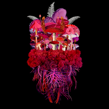 Load image into Gallery viewer, Botanicals: Magic Hour - Jana Nicole