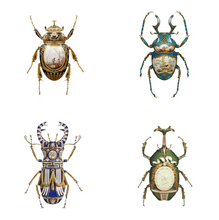 Load image into Gallery viewer, Wonders of the Natural World Box Set - Magnus Gjoen