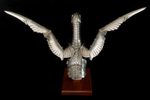 Load image into Gallery viewer, Seamus Moran - Harness - Armour for Bird