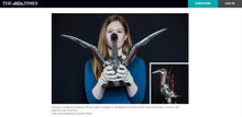 Load image into Gallery viewer, Seamus Moran - Harness - Armour for Bird
