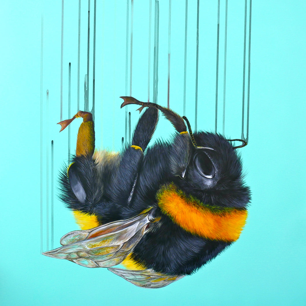 Falling for you - Louise McNaught
