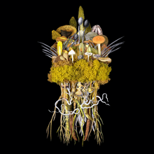 Load image into Gallery viewer, Botanicals: Sunrise Troupe - Jana Nicole
