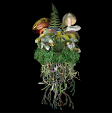 Load image into Gallery viewer, Botanicals: Spring Troupe - Jana Nicole
