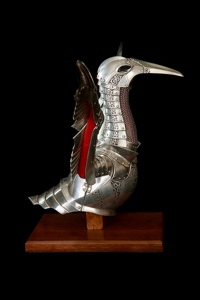 Seamus Moran - Harness - Armour for Bird