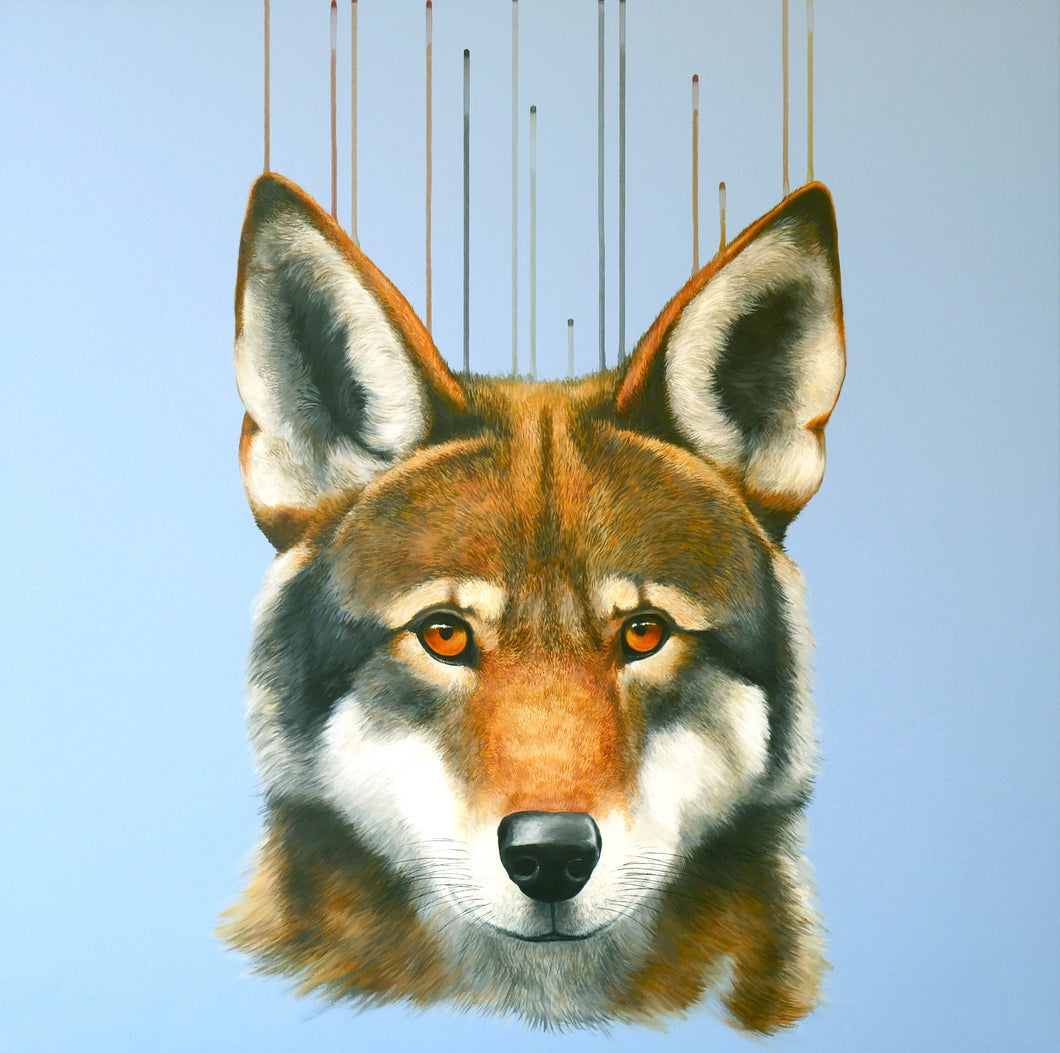 In the Red - Louise McNaught